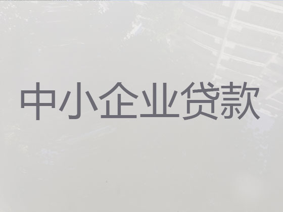 蚌埠小微企业贷款中介公司